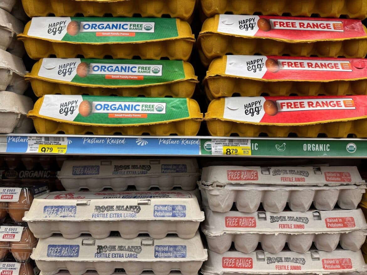 ट्रम्प का कहना है कि अंडे की कीमतें गिर रही हैं। कुछ विशेषज्ञों का कहना है कि दावा भ्रामक है।