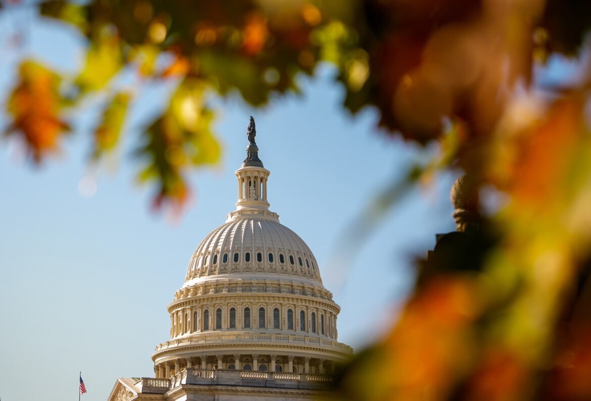 चुनाव दिवस 2026 से एक वर्ष दूर, मंगलवार के नतीजे 2026 मध्यावधि को आकार दे सकते हैं