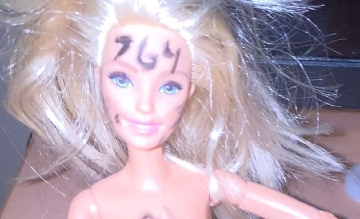 दुर्लभ सार्वजनिक टिप्पणियों में, कैरियर डीओजे अधिकारी ऑनलाइन नेटवर्क 764 के बारे में डरावनी चेतावनी देते हैं